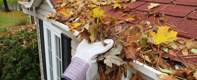 blog - iStock-1064396034-1